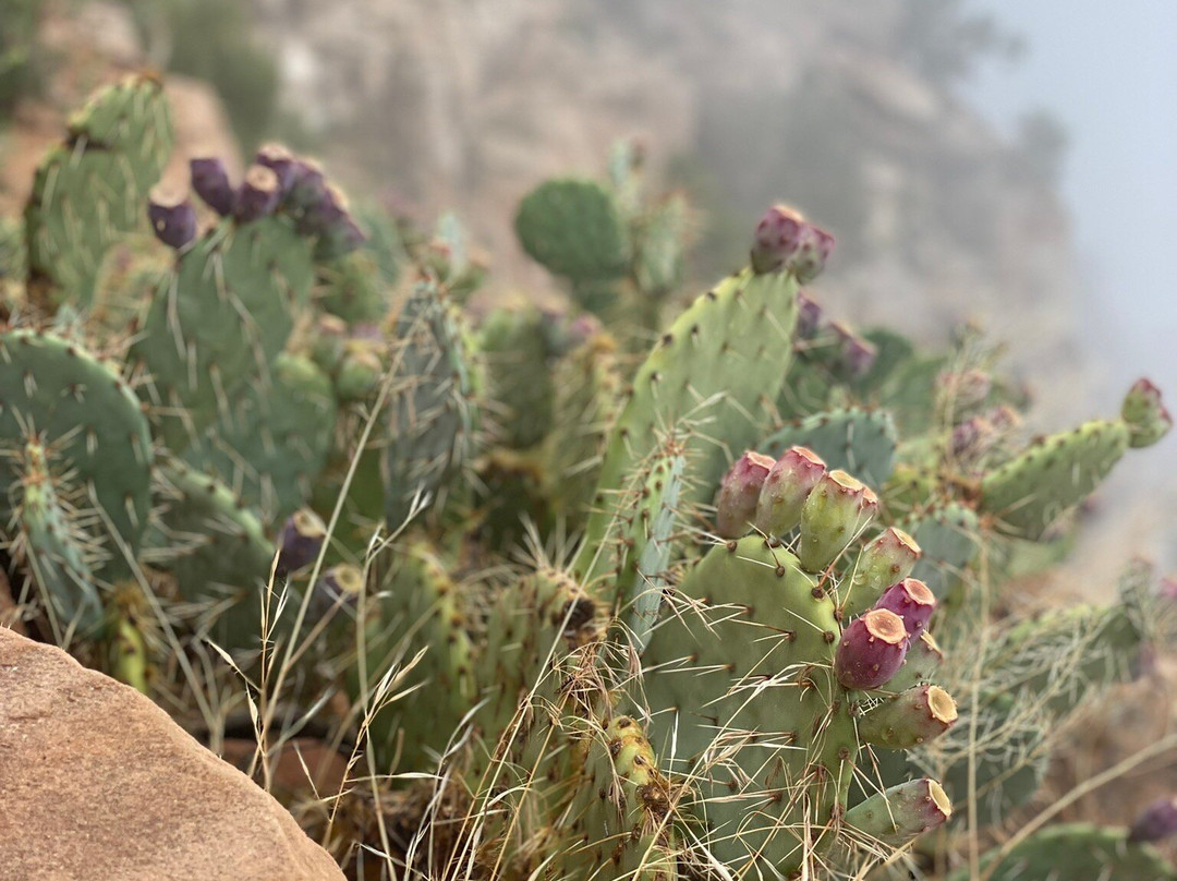 邓普林帕奇住宿加早餐酒店主图