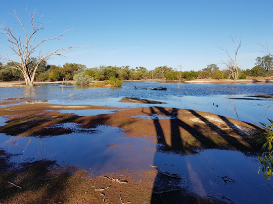 Cunnamulla旅游景点-Bowra Wildlife Sanctuary