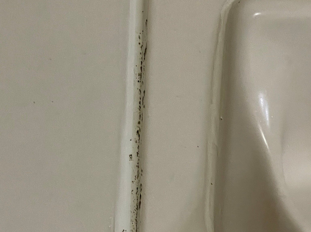 Holiday Inn Express Boone by IHG主图