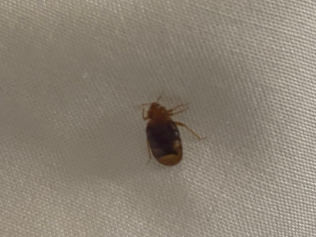 Holiday Inn Express Lorton By IHG主图