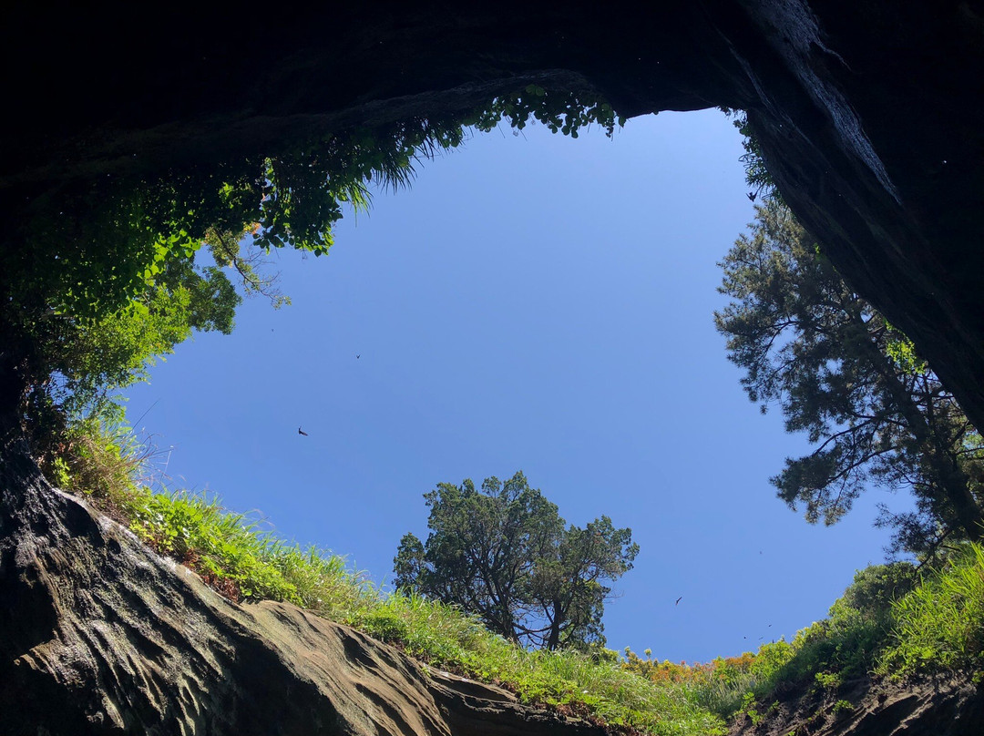 Dogashima Tensodo Cave景点图片