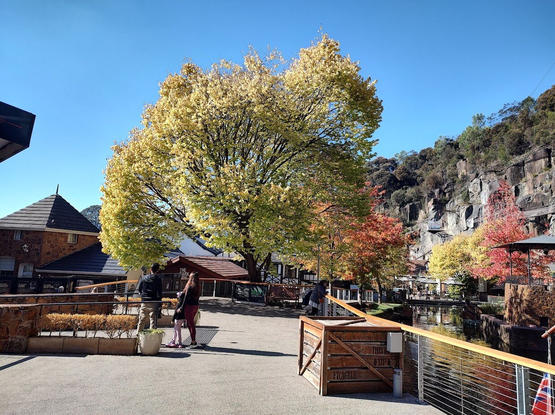 Penny Royal Adventures-朗塞斯顿必去景点