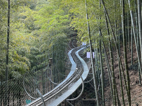 中国大竹海-安吉县必去景点