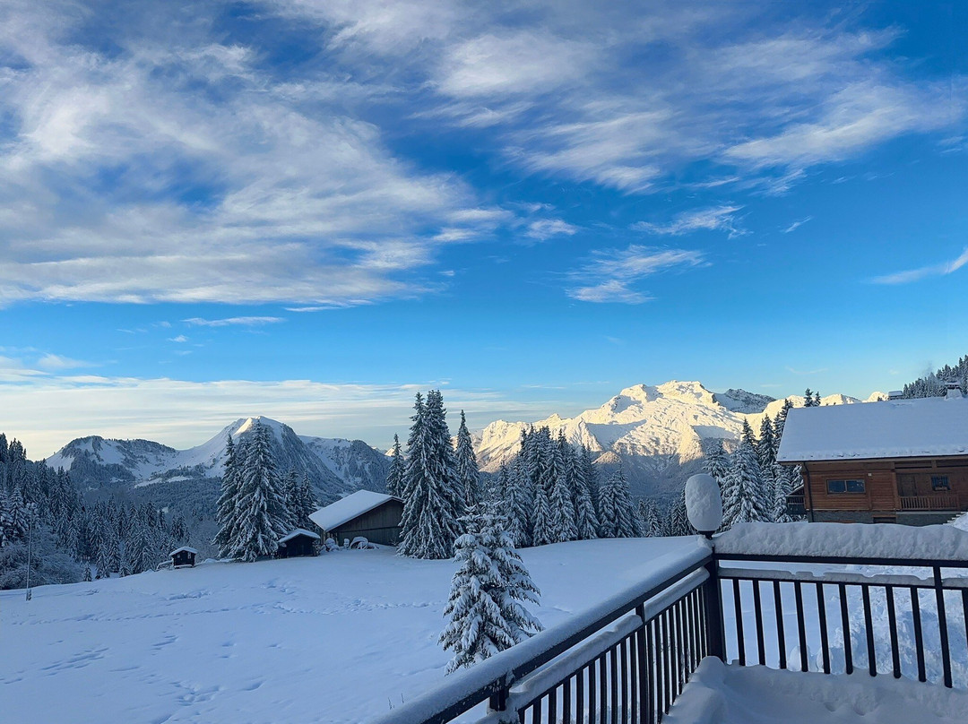 Les Sapins Wellness & Gourmet主图