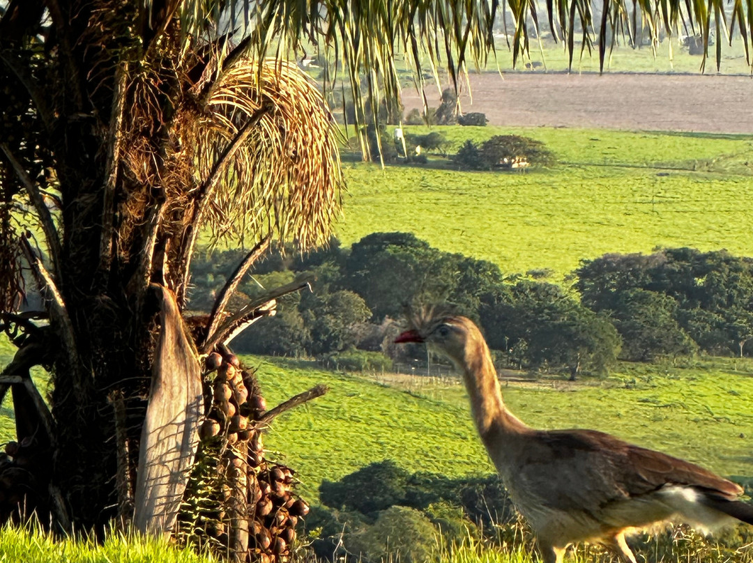 Cachoeira Maria Augusta-Delfinopolis必去景点