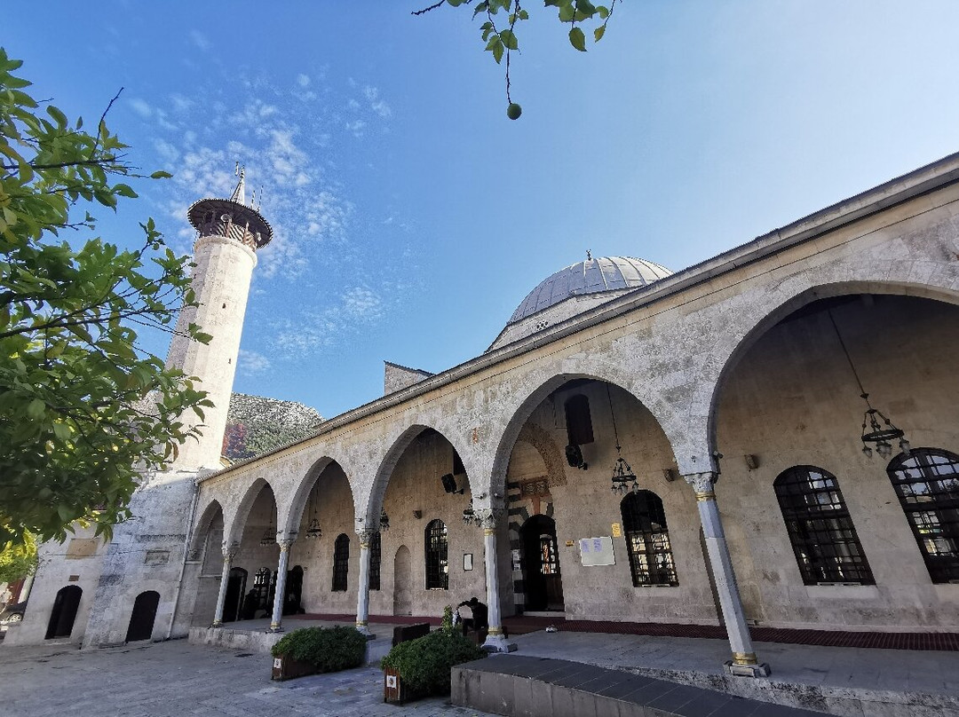 Habibi Neccar Mosque景点图片
