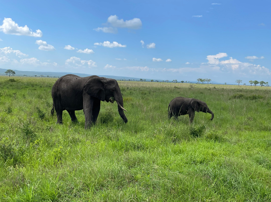 Mwambani Tours & Safaris景点图片