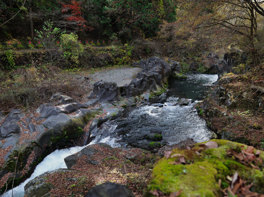 Nikko Botanical Garden-日光市必去景点