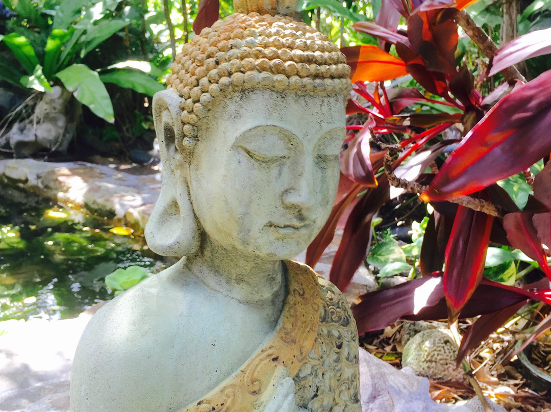 4 Elements Culinary & Wellness Center-Water Island必去景点