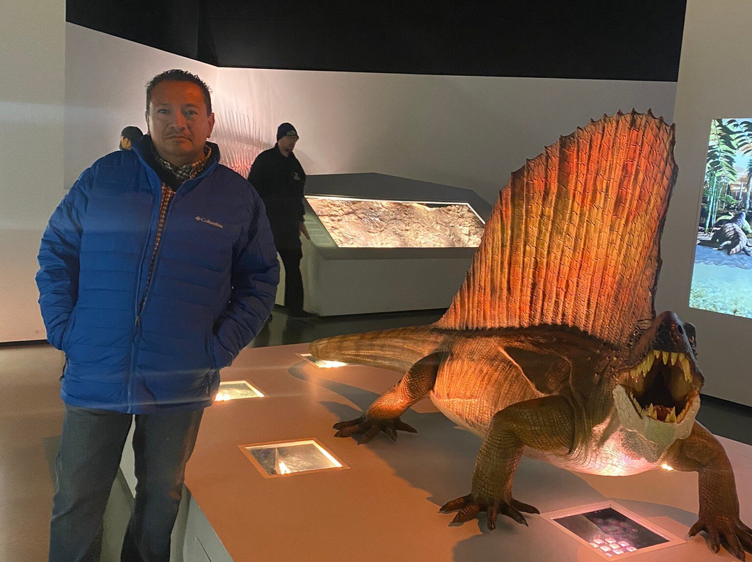 休斯顿自然科学博物馆-休斯顿必去景点