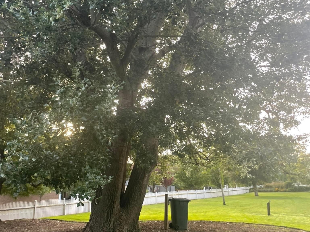 Billilla Historic Mansion-布莱顿必去景点