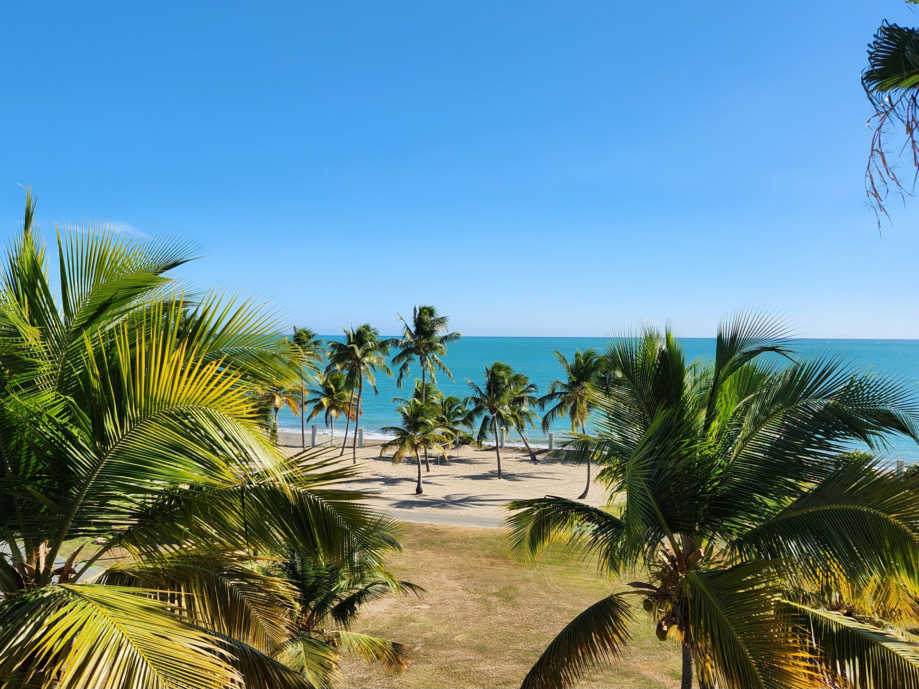 希尔顿酒店集团-酒店景观