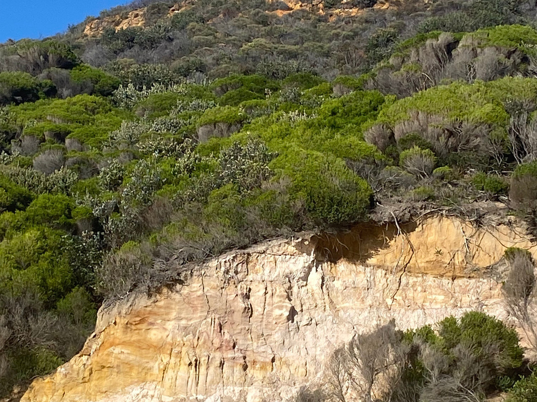 Balconies Dolphincove主图