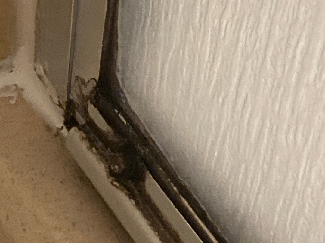 阿尔图斯希尔顿恒庭旅馆&套房酒店主图