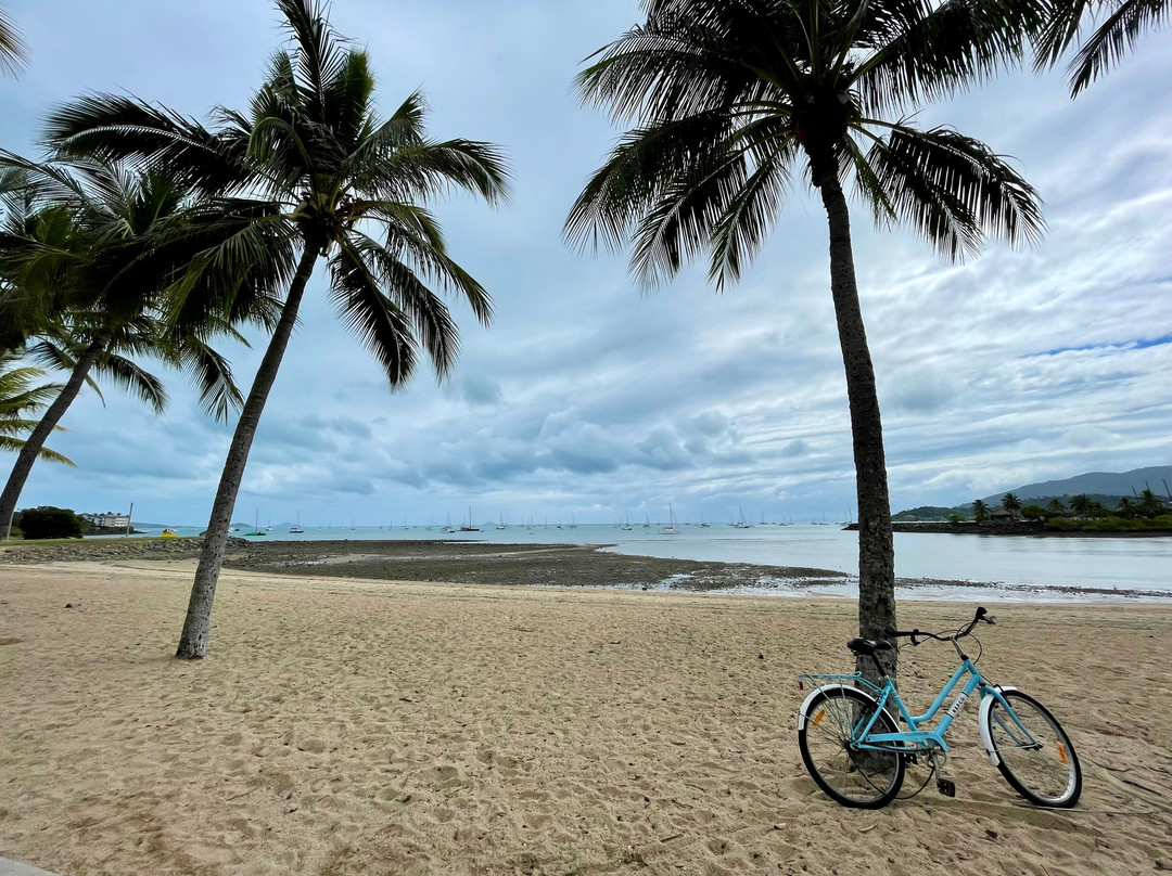 Bicentennial Walkway-艾尔利滩必去景点