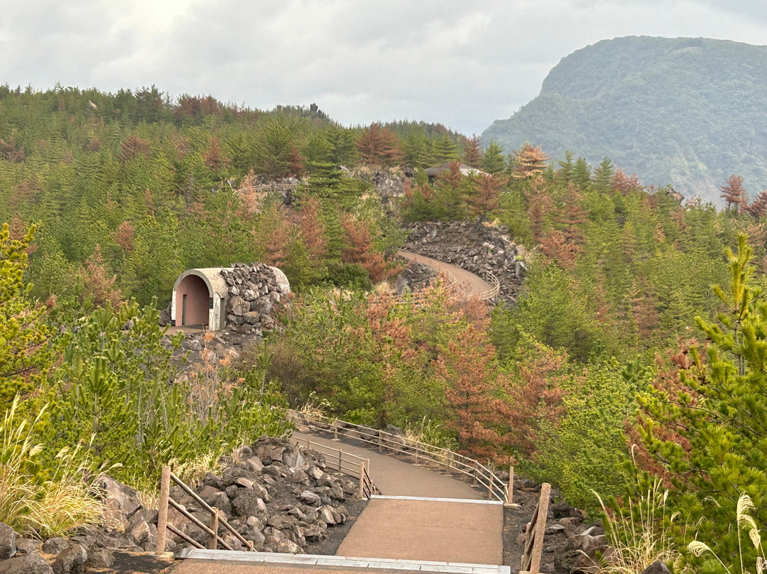 Arimura Lava Lookout景点图片