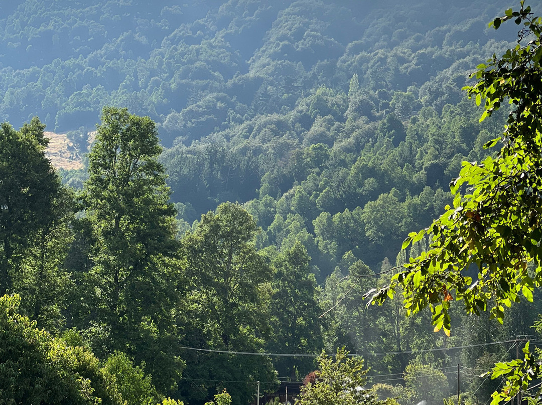 Alma Equina Pucon-普孔必去景点