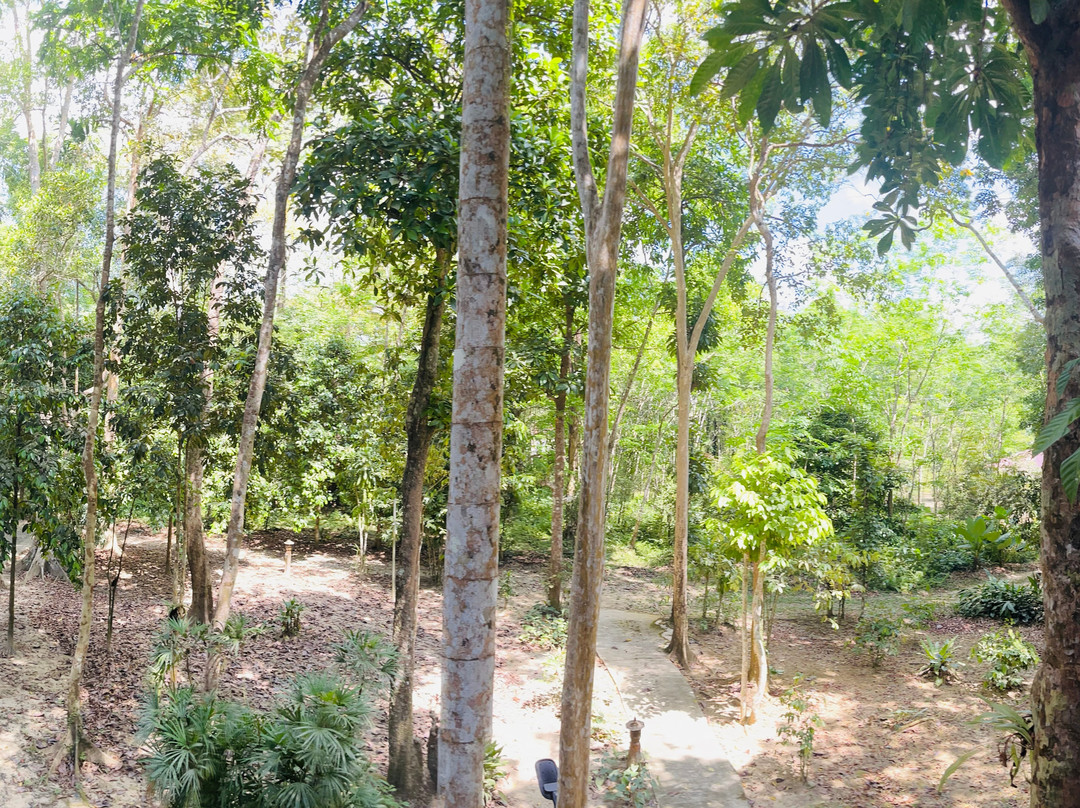 考索自然度假村主图