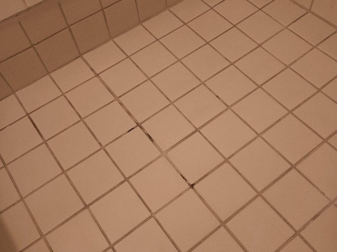 SpringHill Suites by Marriott New Bern主图