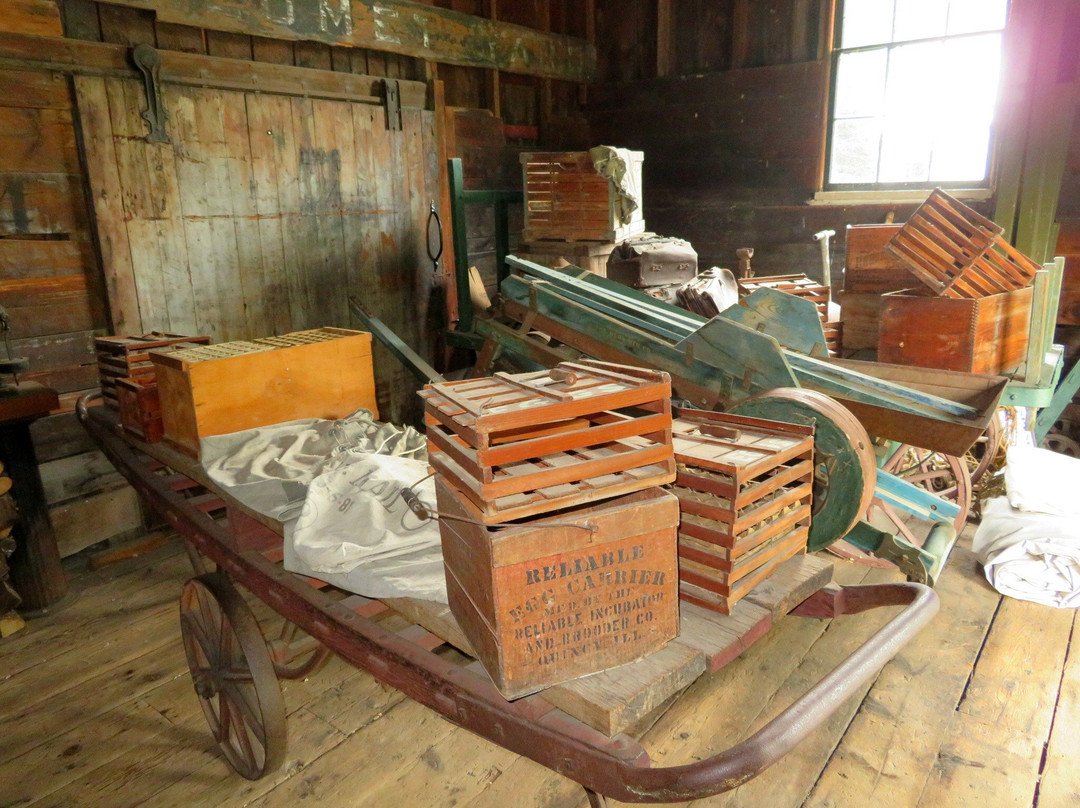 Pinecrest Historical Village景点图片