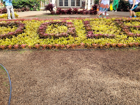 Memory Shuttle & Tours-火奴鲁鲁必去景点