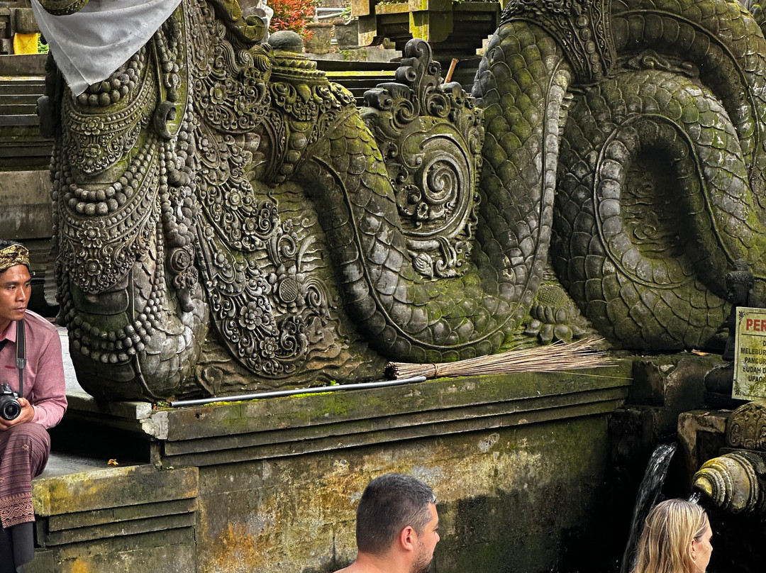 Balinese Melukat Water Purification Ceremony景点图片