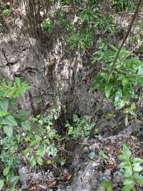 Parrot Preserve-Cayman Brac必去景点