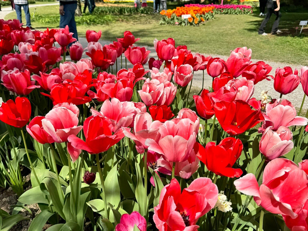 Parc de l'Indépendance-莫尔日必去景点