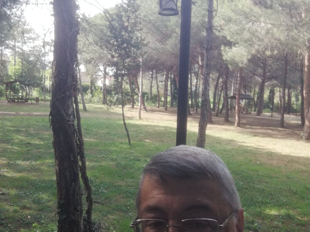 Mercan City Park and Sports Facilities景点图片