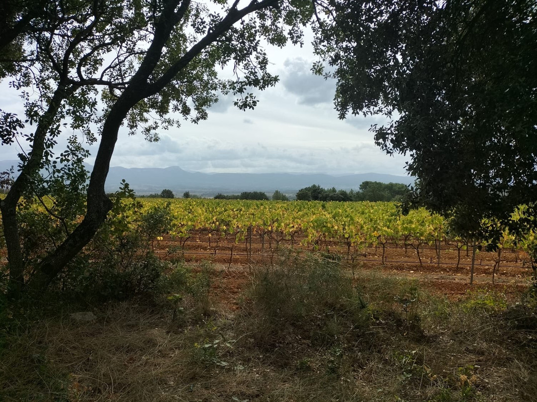 Happy Day In Provence景点图片