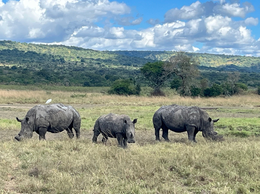Karibu Congo Safaris景点图片
