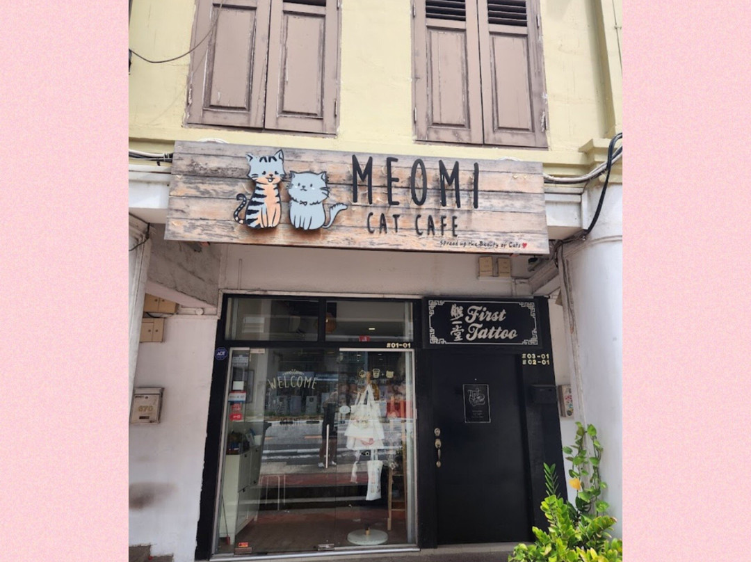 Meomi Cat Café-新加坡必去景点