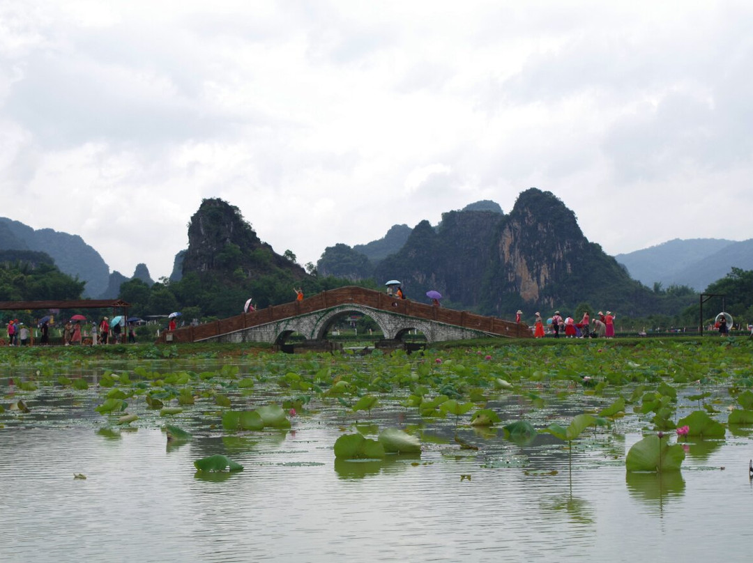 Fenglin Jiulong Town景点图片