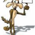 WileyCoyote2