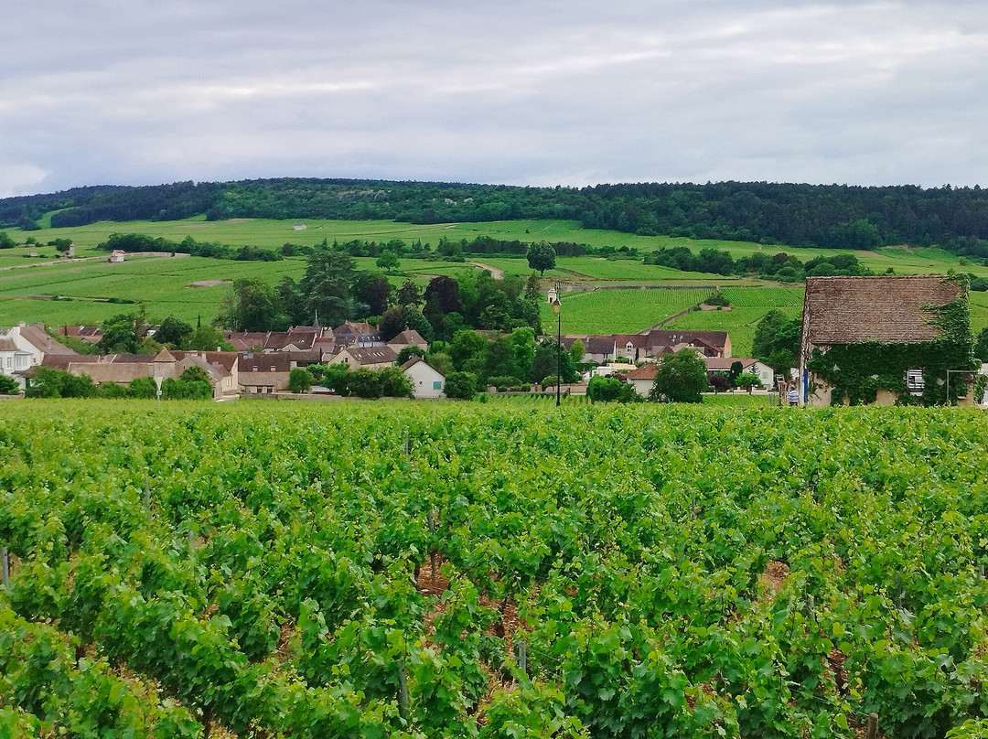Hotel Les Hauts de Meursault主图