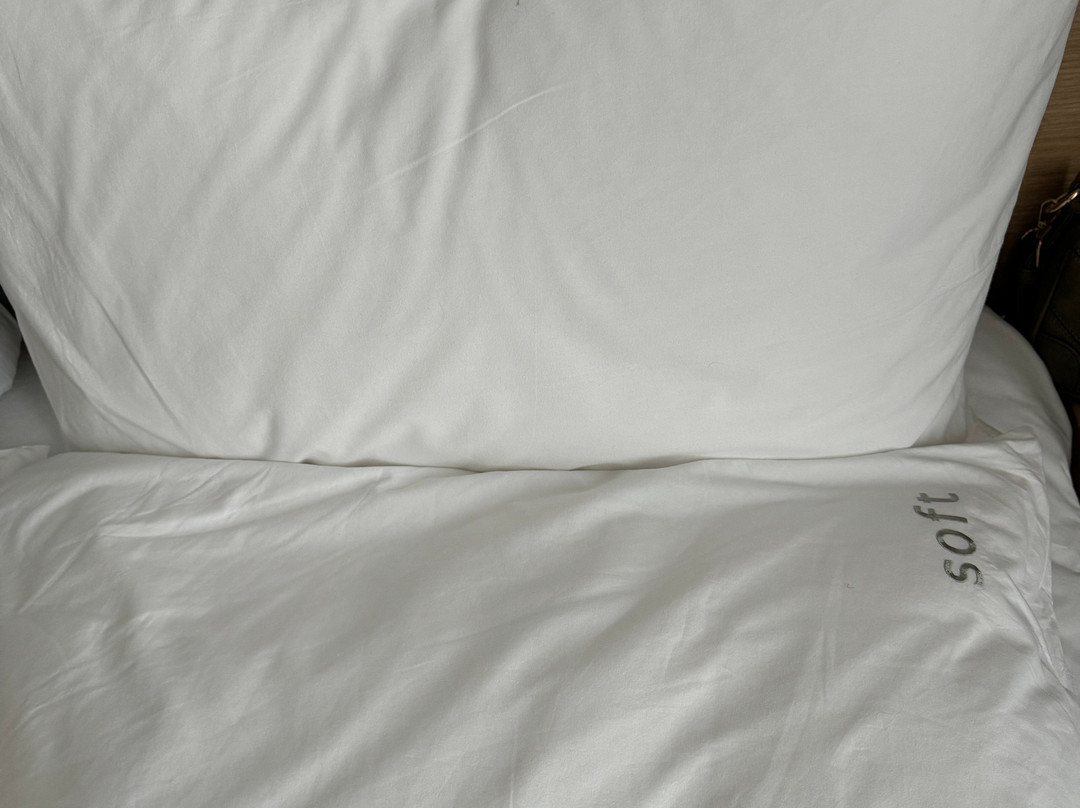 Holiday Inn Express Kathmandu Naxal By IHG主图