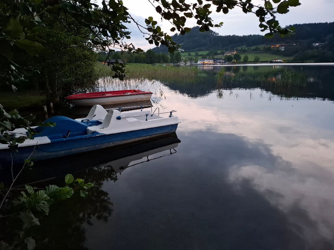 Familienhotel Fasching主图