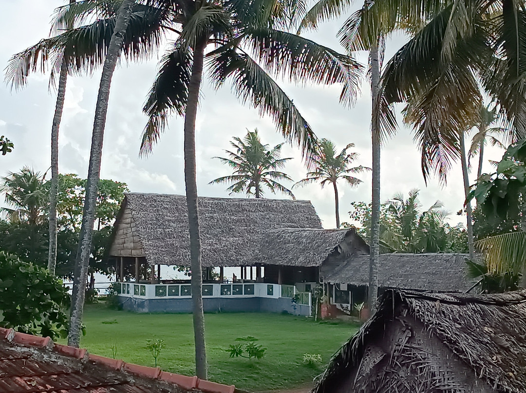 Malika Ayurveda Beach Resort主图