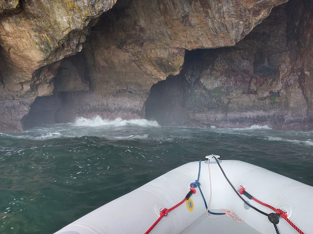 Cape Cruiser-萨格里什必去景点