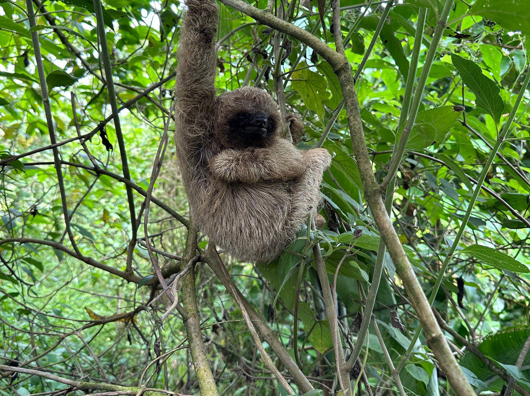 Costa Rica Amazing Trips景点图片