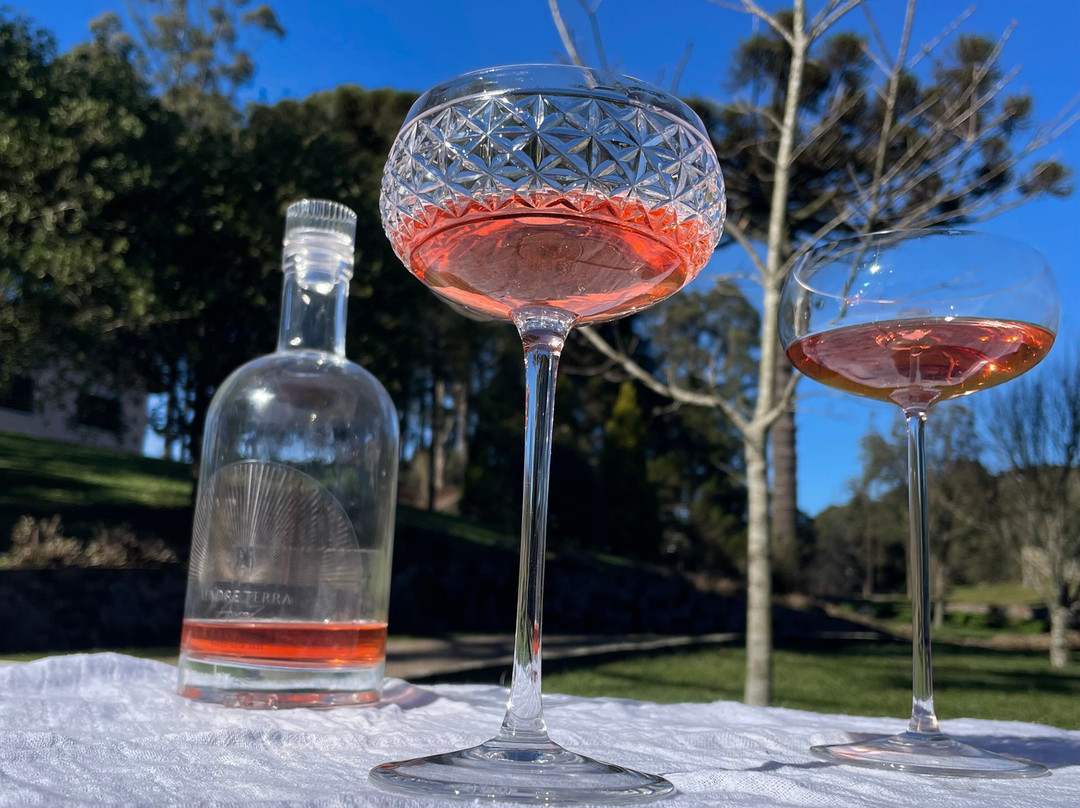 Cave Angelina-Nova Padua必去景点