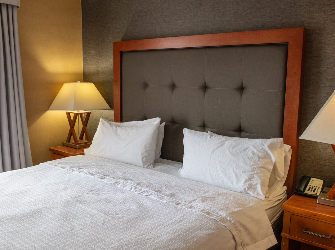 Homewood Suites by Hilton Allentown-West/Fogelsville, PA主图
