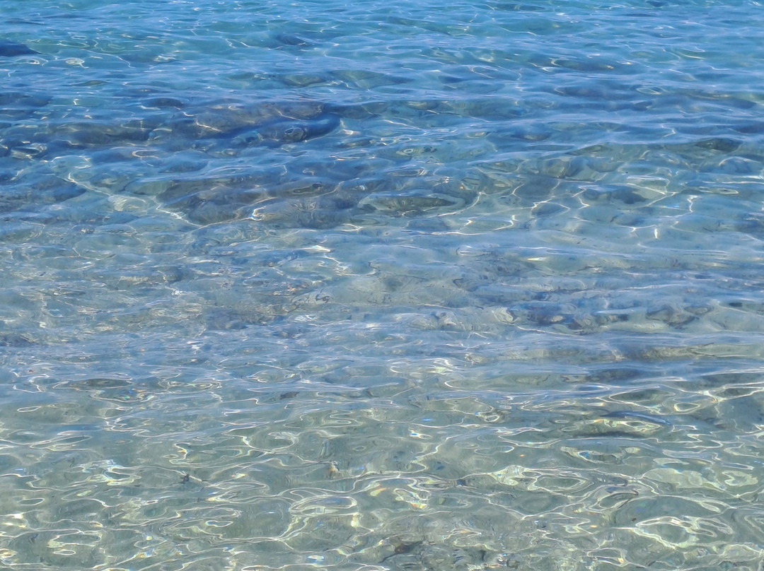 Sant'Andrea Beach景点图片
