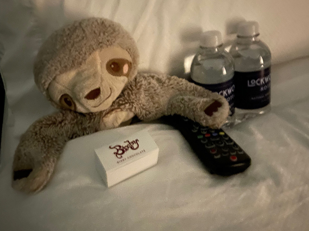 Lockwood Hotel主图