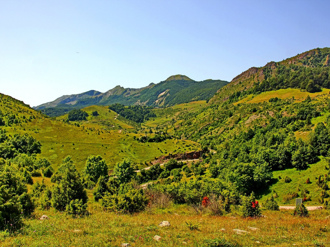 Nekropola stećaka Umoljani景点图片