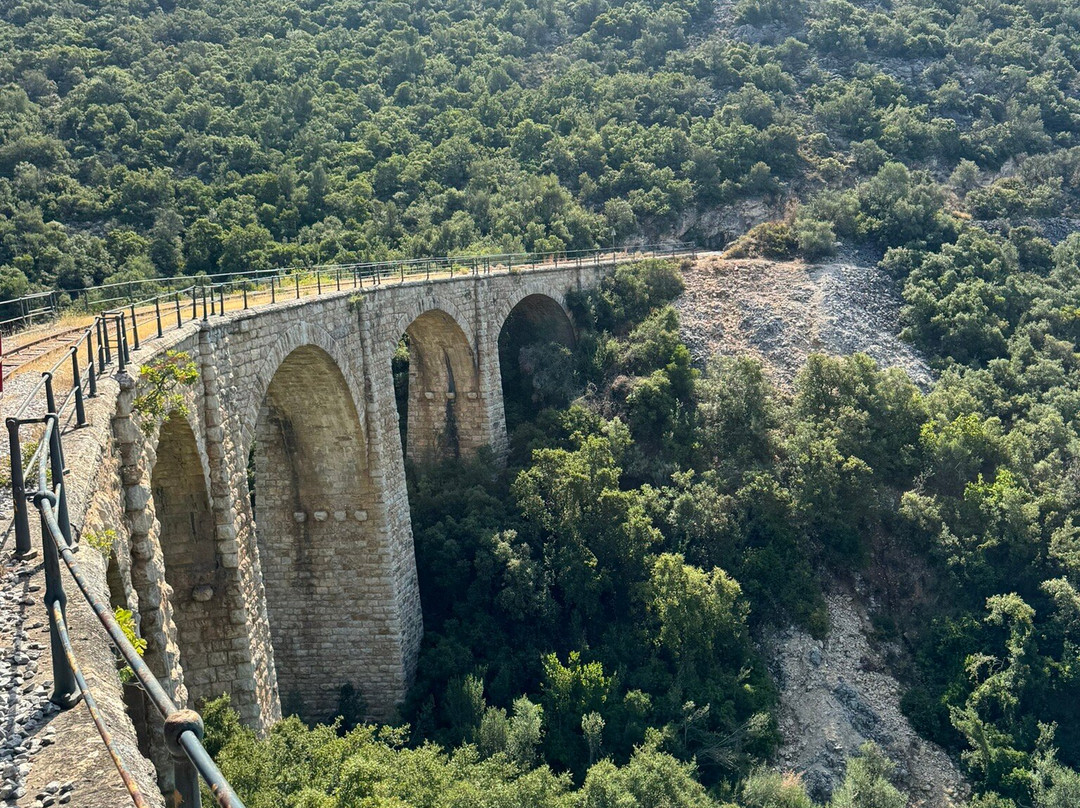 Pelion Railway景点图片
