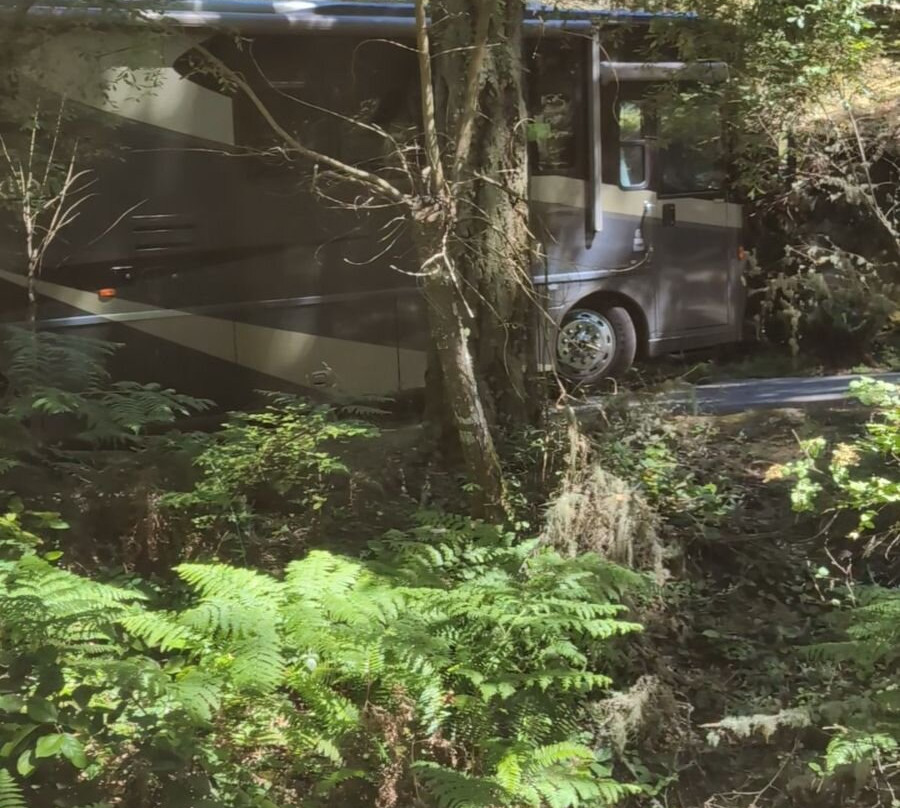 Washington Park景点图片