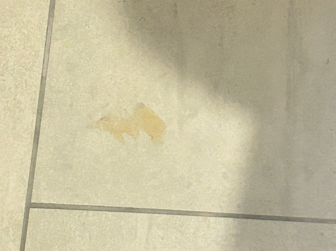 Holiday Inn Express & Suites Camden-I20 / Hwy 521 by IHG主图