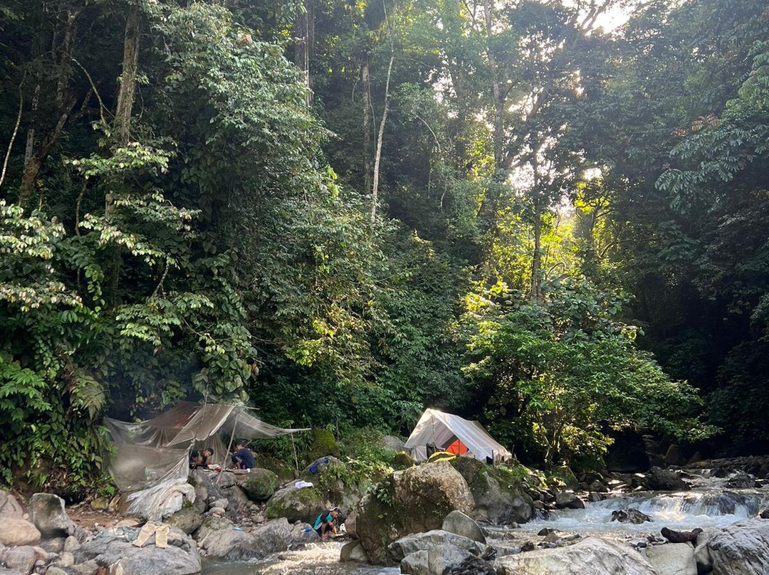 Ketambe Trek-Ketambe必去景点