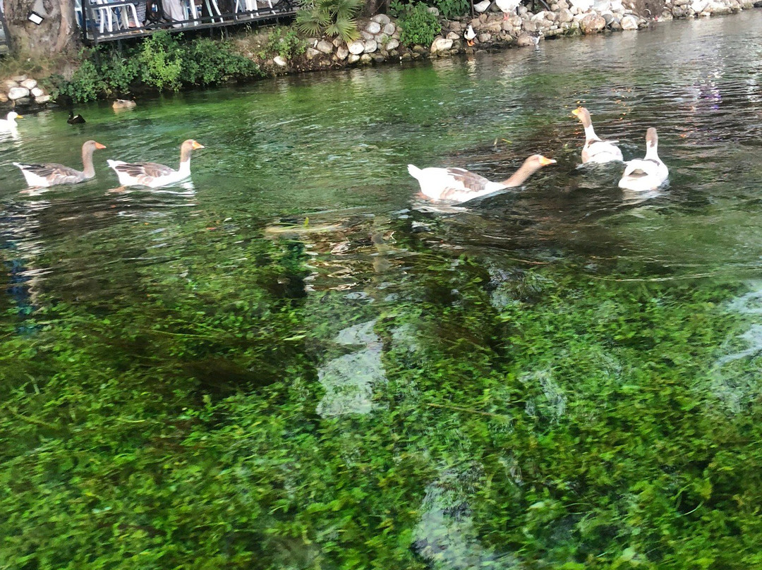 Akyaka Plaji景点图片